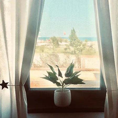 Sega Alessia 22 * Năvodari