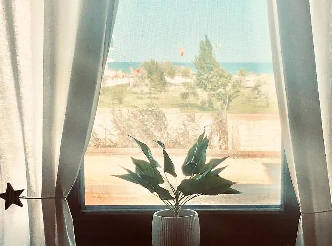 Sega Alessia 22 * ナボダリ